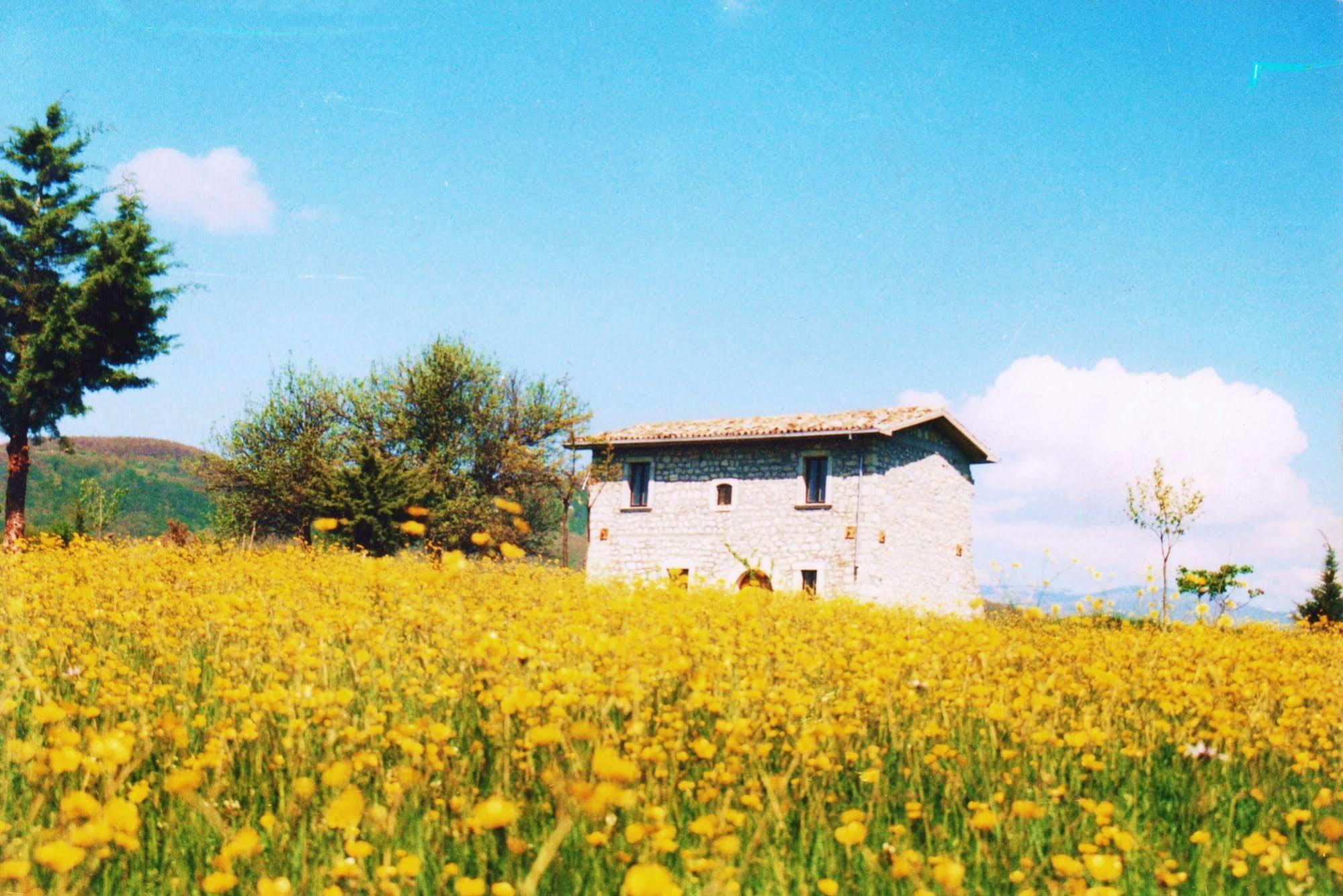Vila Casino Tonti Iarussi Forlì del Sannio Exteriér fotografie